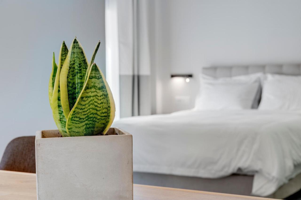 Times Elegant Rooms Ermoupoli Dış mekan fotoğraf